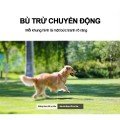 Máy chiếu Mini K660 Plus, Chính hãng KAW, Độ sáng độ nét cao, Full HD